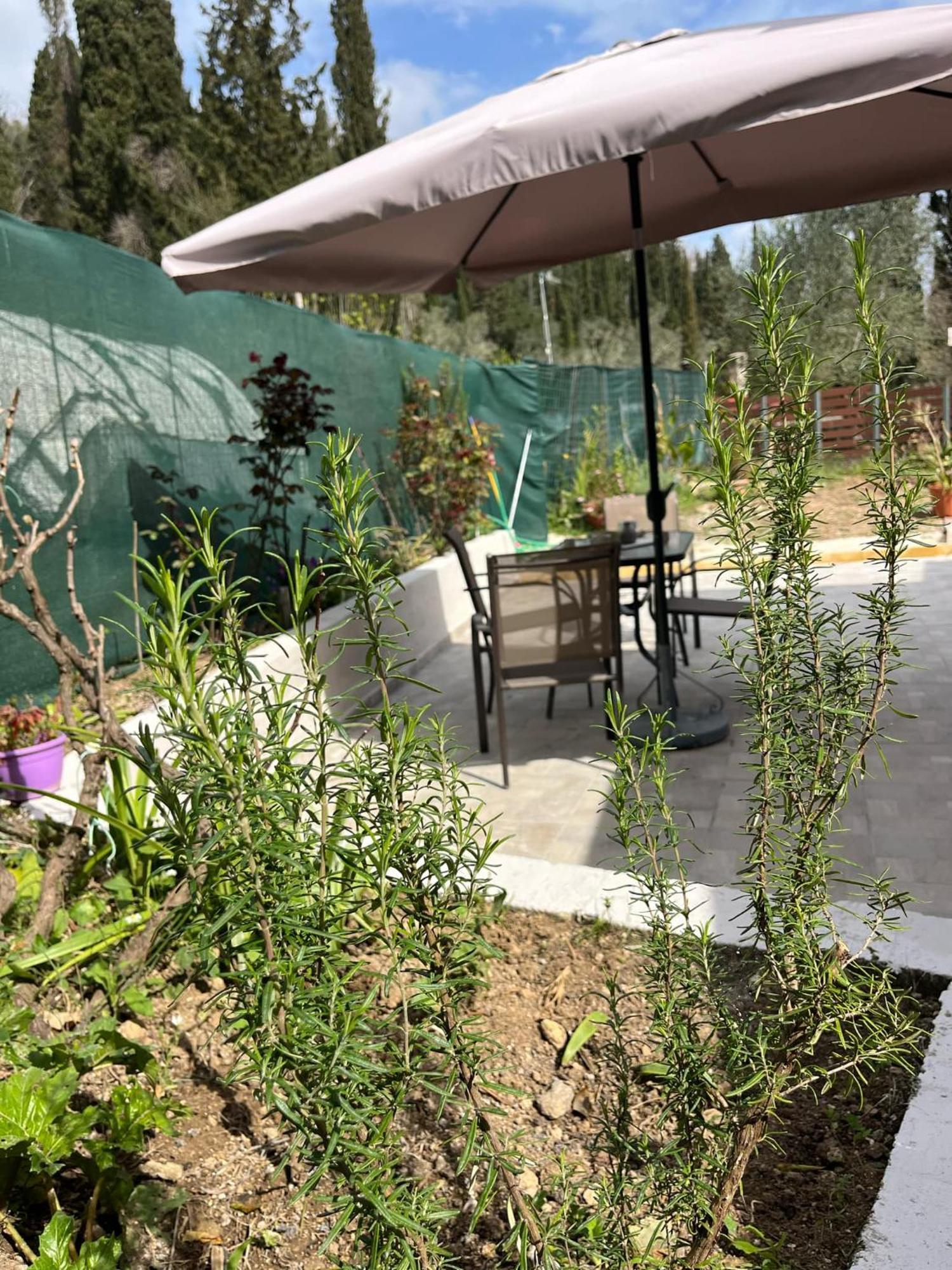 G&Z Cottage Kynopiástai 外观 照片